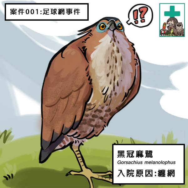 20230115黑冠-足球網no1-0-ig版