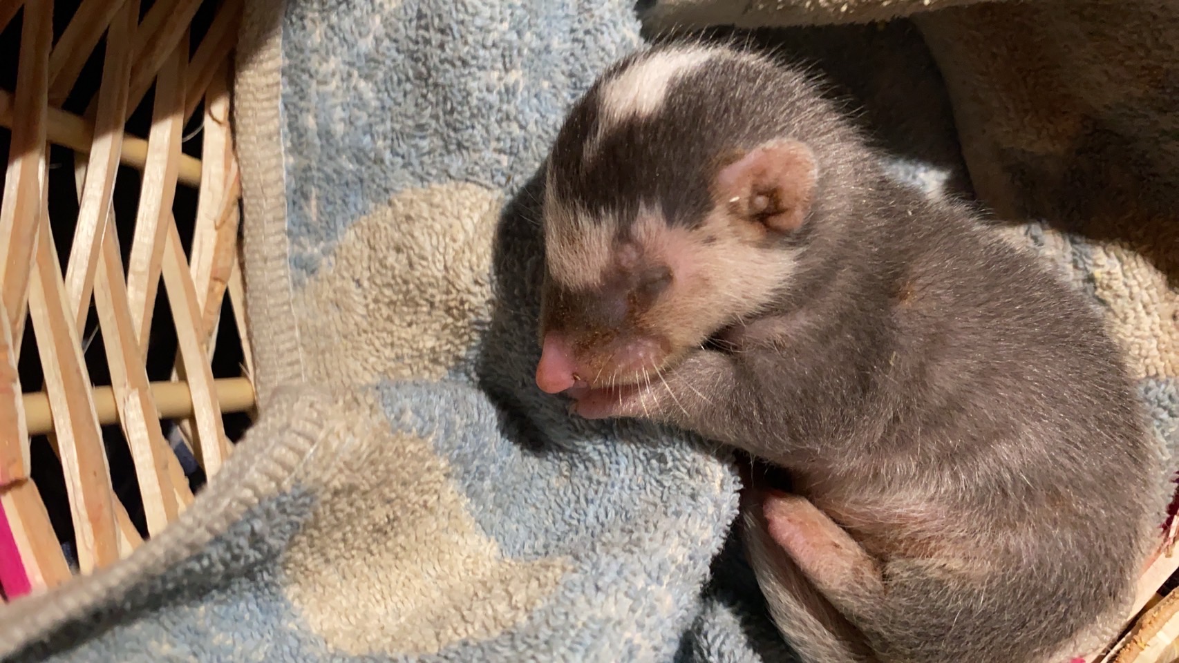 41E01467-778F-4311-99CD-3EDF75EED185