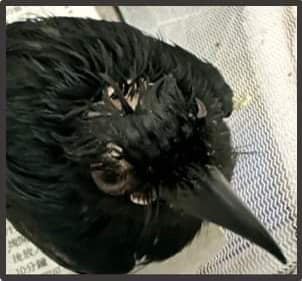 464303666_961401266030234_6891430096859930489_n