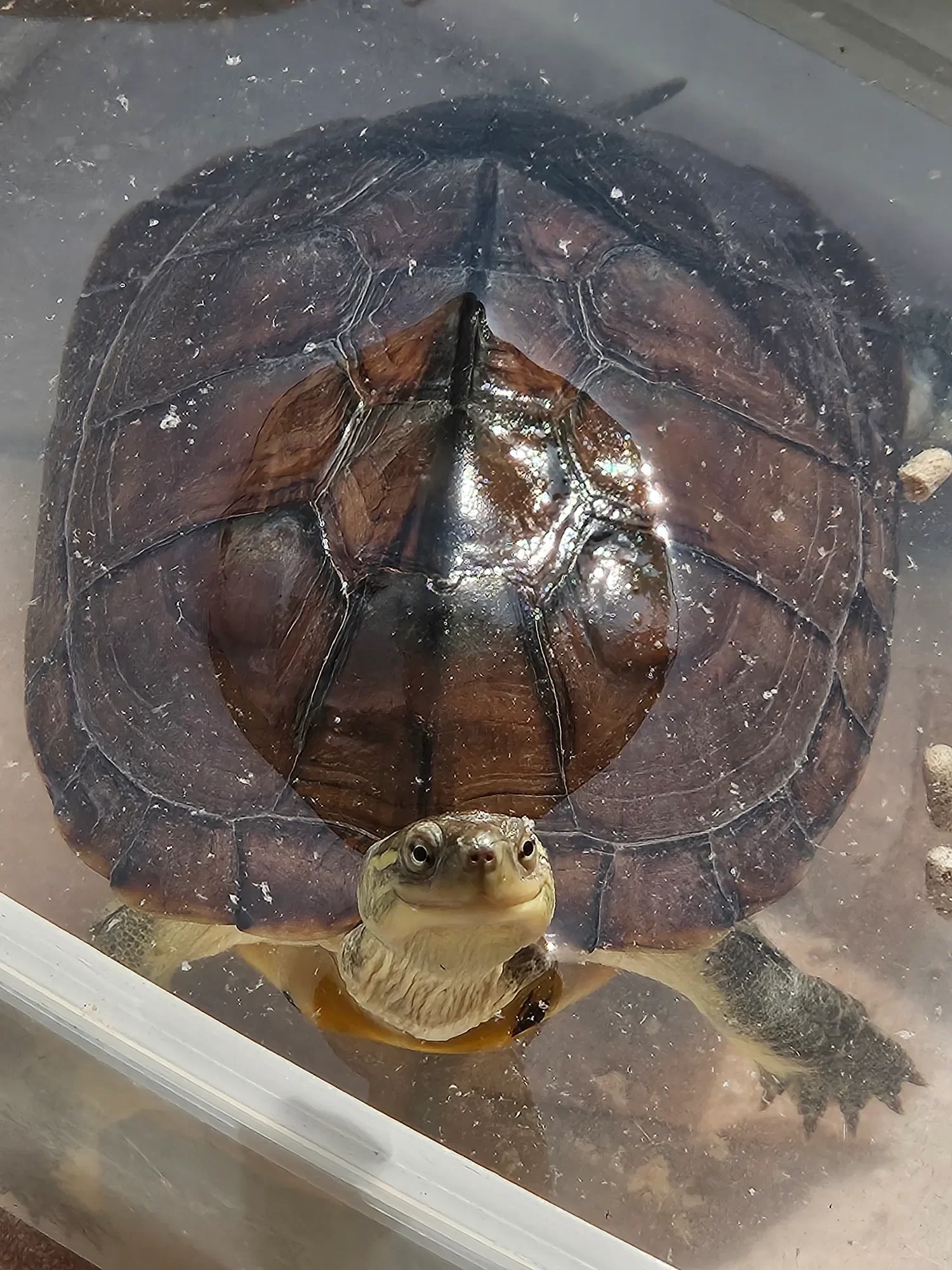 480630371_17884957905214894_8511627076945708143_n